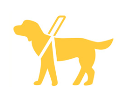 盲導犬
