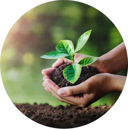 (　樹木・種苗の贈呈　)